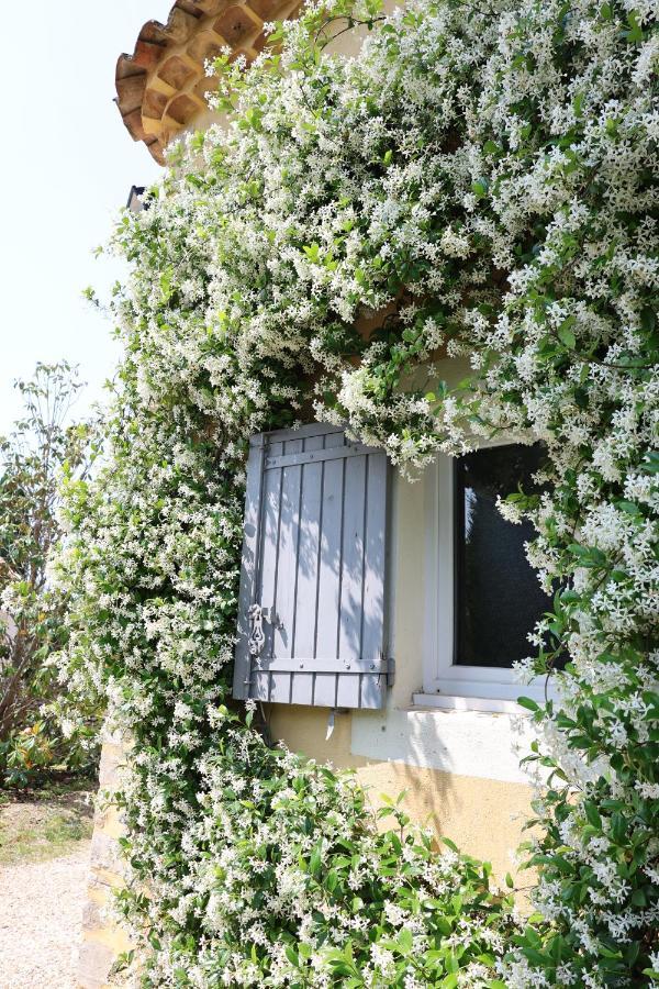 Bastide Magnolia - Les Dependances, Roussillon Villa Roussillon  Exterior photo